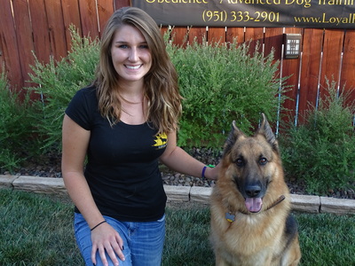 learn more about you and your dog - Loyal K-9 Call Today 951-333-2901